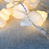 Evermore Conch String Light for Wedding and Room Decoration