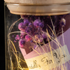 EVERMORE Purple Open-herding With Natural Color Thread and Letter 4L Warm White LED Bare Wire Glass Cover Light
