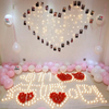 USB 50LED Warm White Outdoor Christmas Photo Clip Curtain String Light Holder