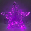 Top New RGB LED with Twinkle Party Garden Decoration lights indoor and outdoor use IP44