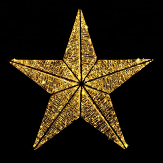 Large 3D Star Light