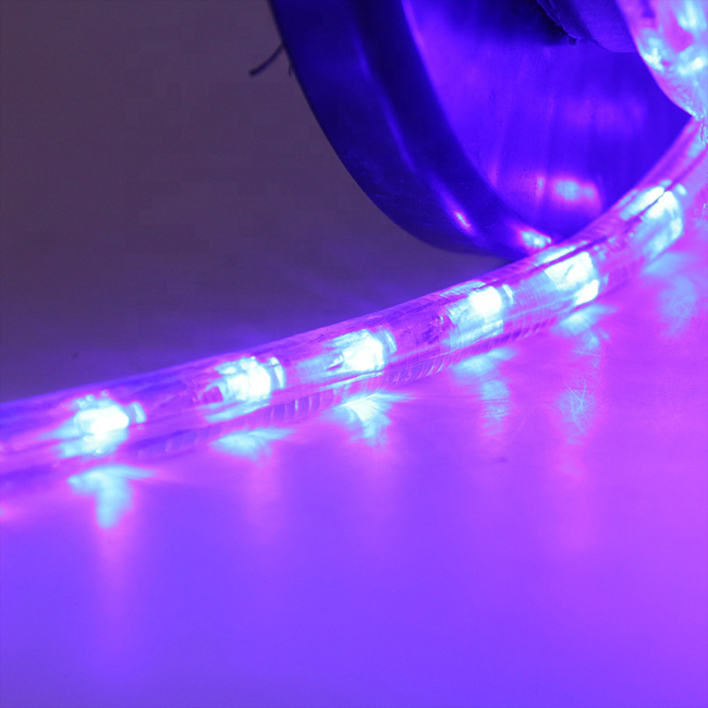 Waterproof Color Changing Decoration Led Neon Light Rope Light Led Rope Light