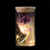 EVERMORE Purple Open-herding With Natural Color Thread and Letter 4L Warm White LED Bare Wire Glass Cover Light