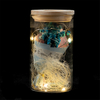 EVERMORE Blue Open-herding With Natural Color Thread and Letter 4L Multicolor LED Bare Wire Glass Cover Light